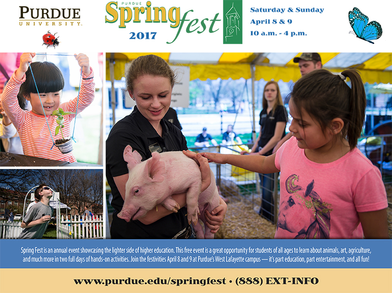 Springfest 2017